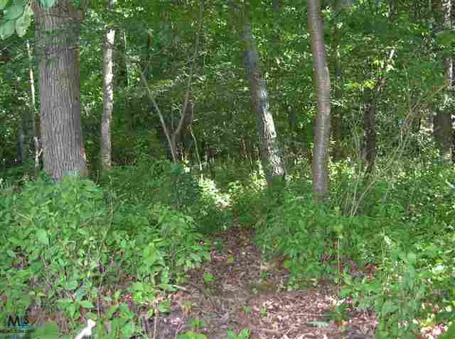 D2 Sutton Road Dryden, MI 48428 - Photo 5 of 9 31089847-4.JPG