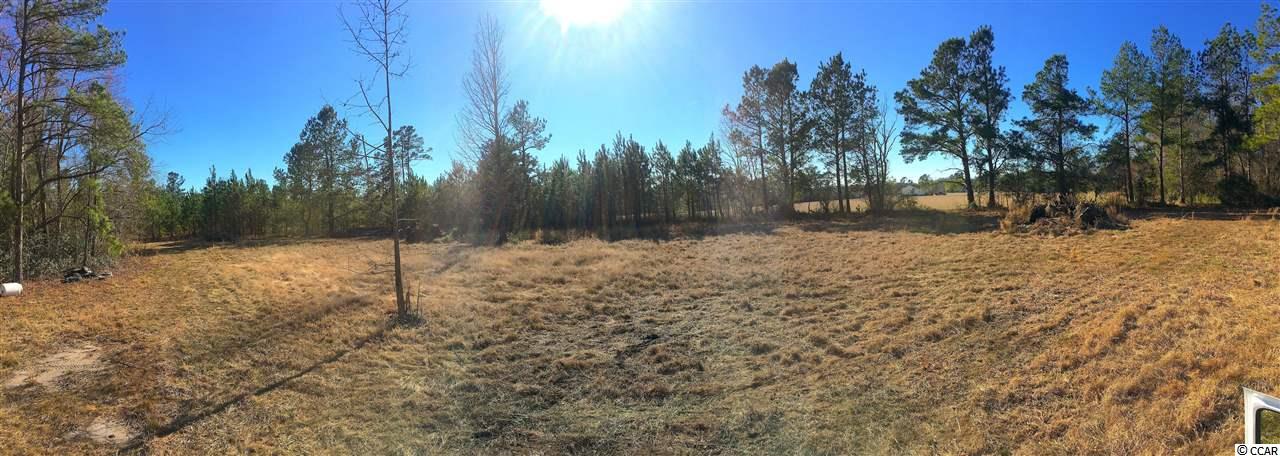 1-2 Daisy Road Loris, SC 29569 - Photo 2 of 12 Gallery Image 2