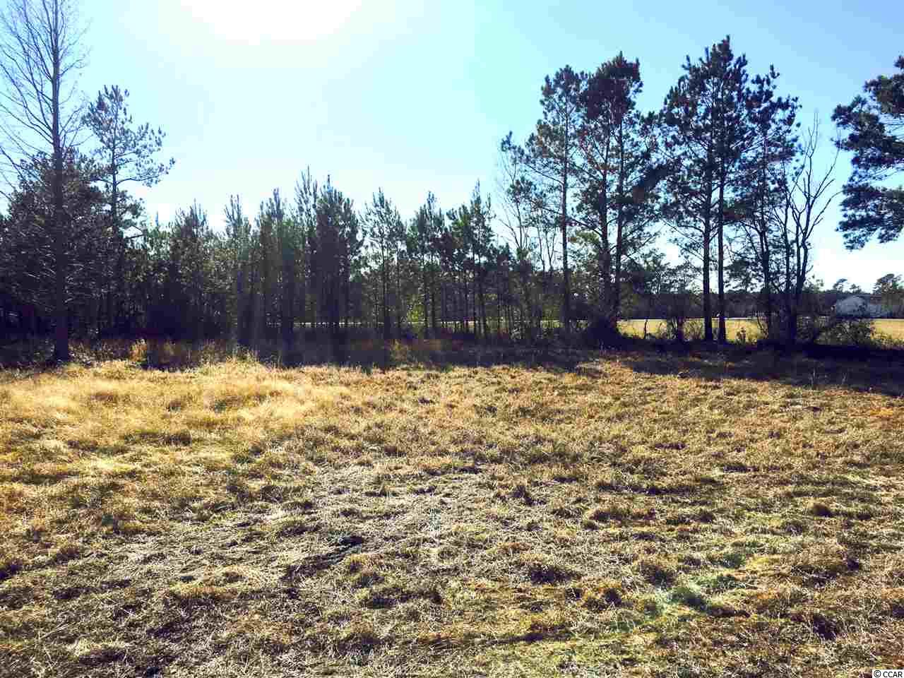 1-2 Daisy Road Loris, SC 29569 - Photo 11 of 12 Gallery Image 11