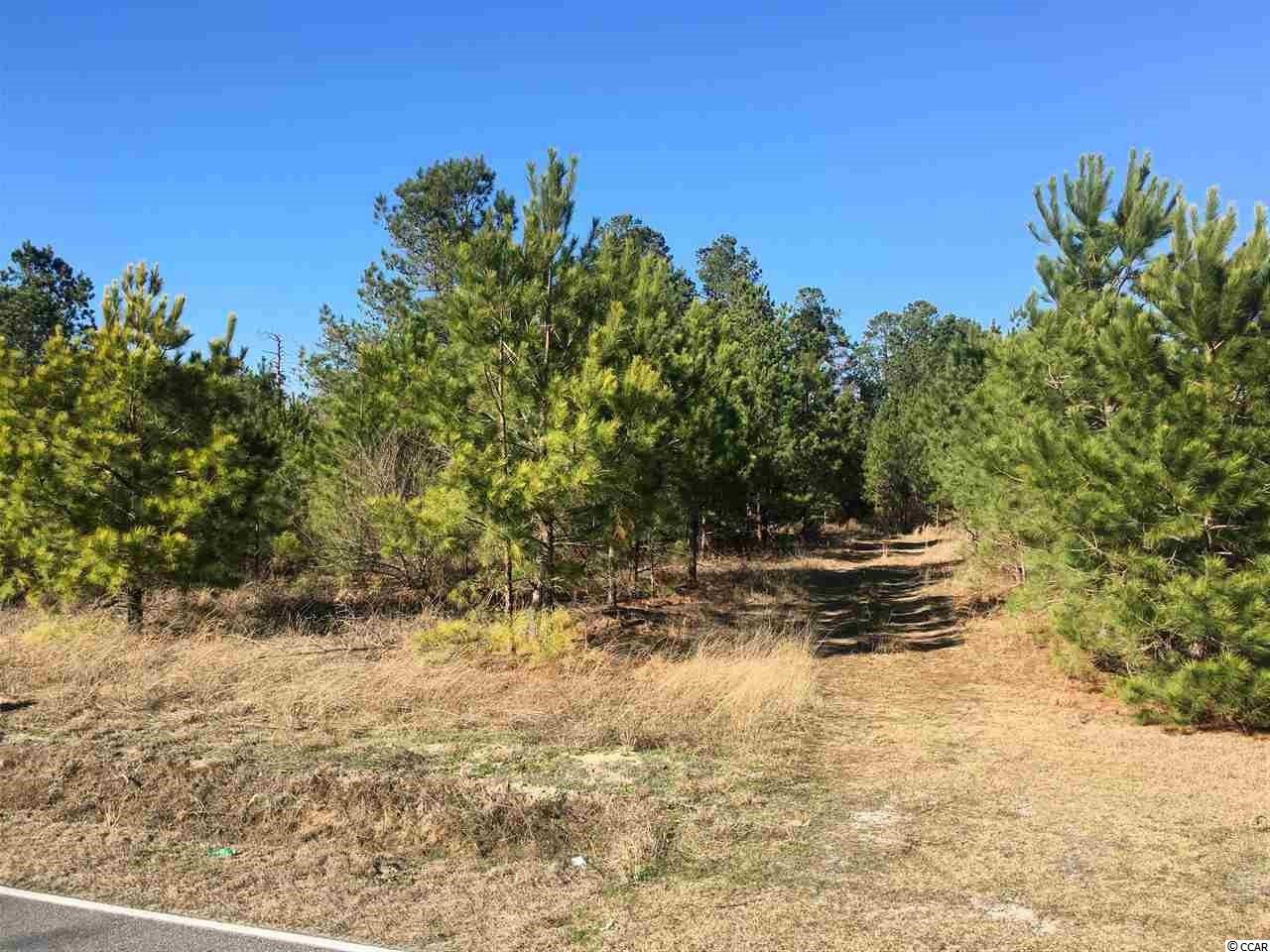 1-2 Daisy Road Loris, SC 29569 - Photo 4 of 12 Gallery Image 4