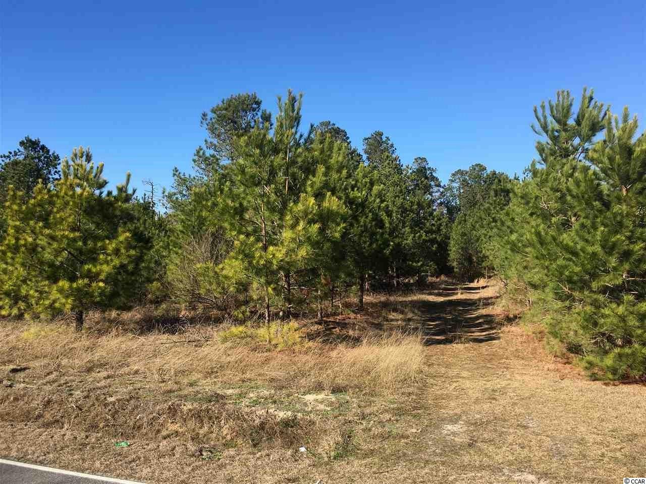 1-2 Daisy Road Loris, SC 29569 - Photo 5 of 12 Gallery Image 5