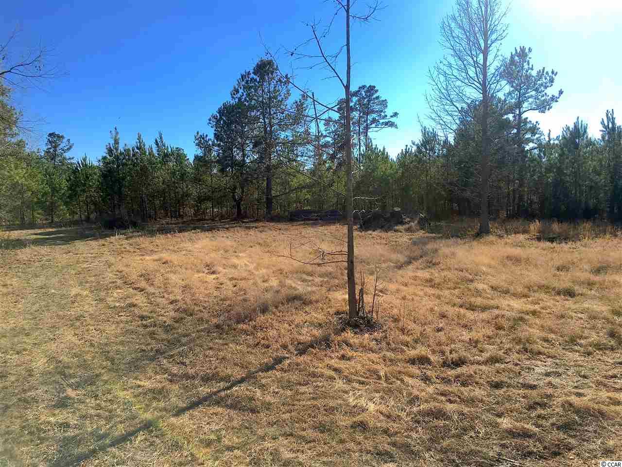 1-2 Daisy Road Loris, SC 29569 - Photo 9 of 12 Gallery Image 9