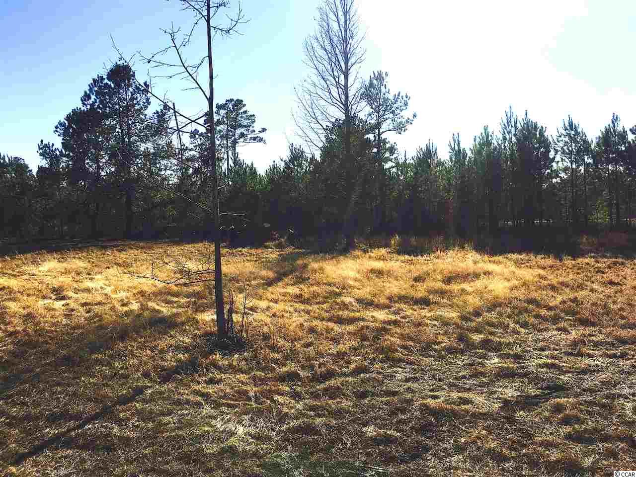 1-2 Daisy Road Loris, SC 29569 - Photo 10 of 12 Gallery Image 10