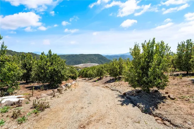 a view of a dry yard with lots of bushes