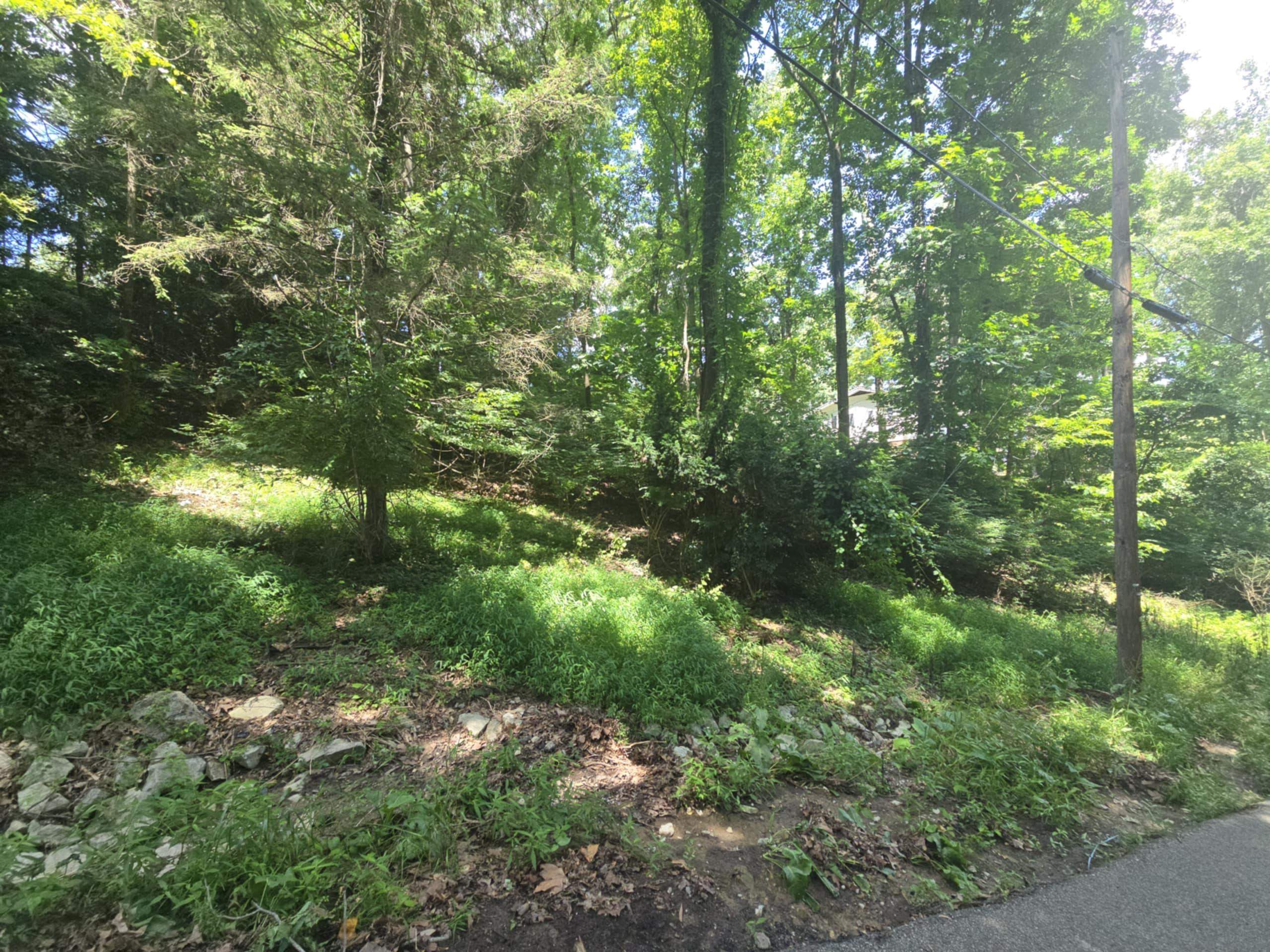 0 Erwin Road Ashland, KY 41101 - Photo 1 of 3