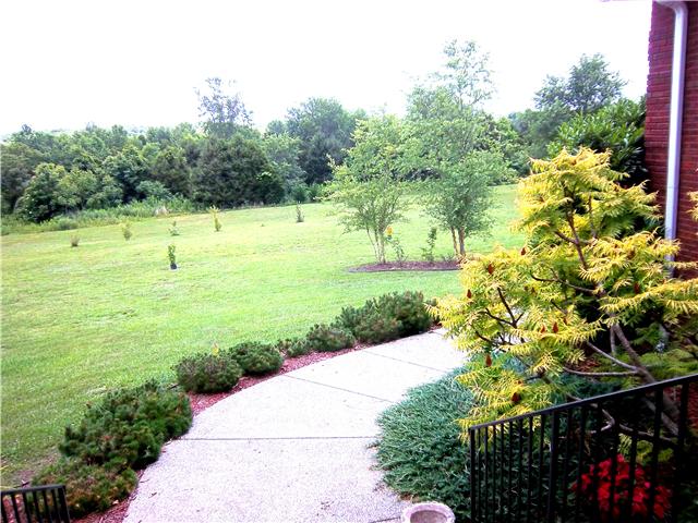 1069 Hall Cemetery Road Burns, TN 37029 - Photo 20 of 20 VIEW FROM FRONT PORCH