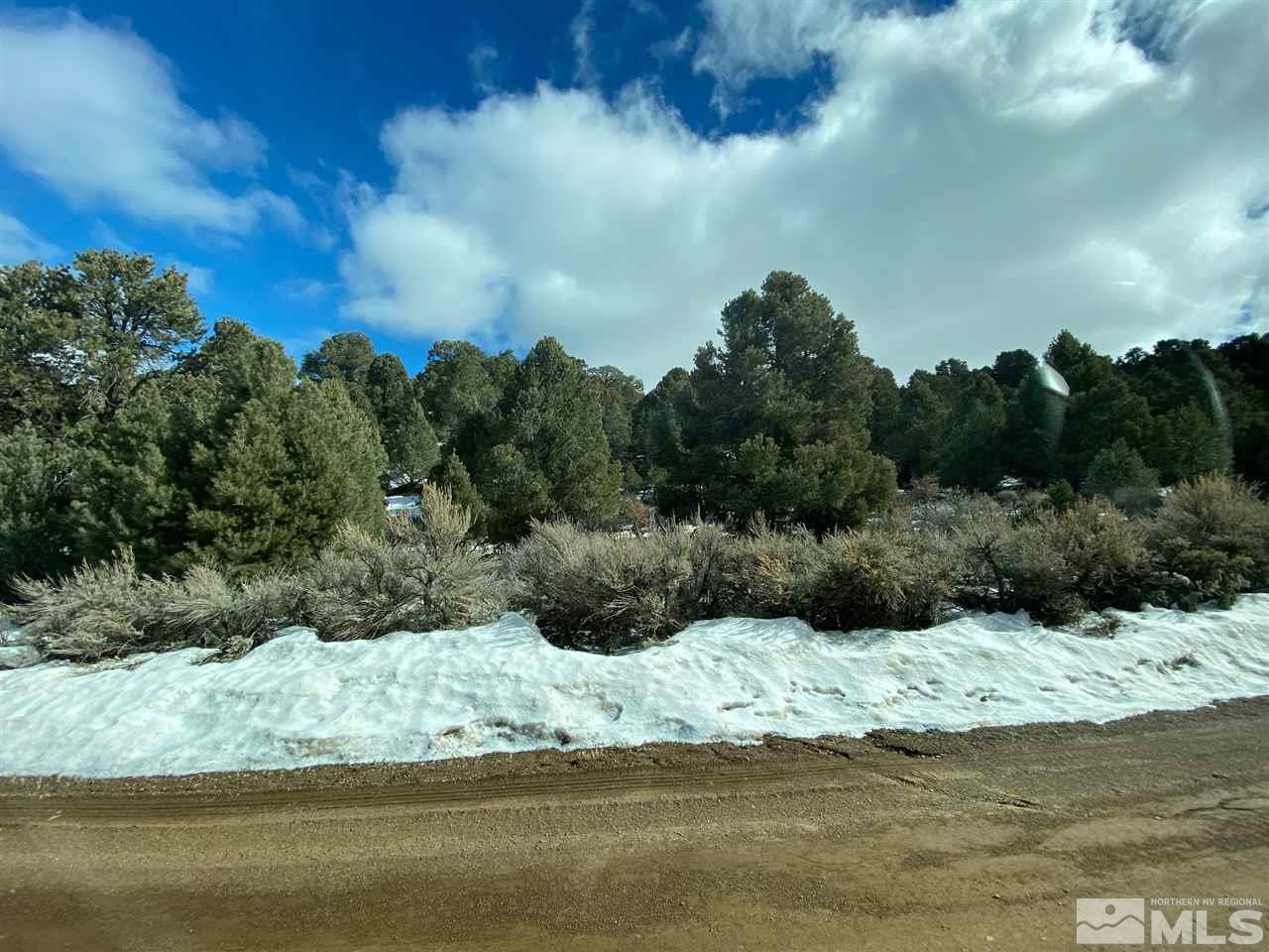 21420 Delta Drive Reno, NV 89521 - Photo 1 of 2 a view of a lake view