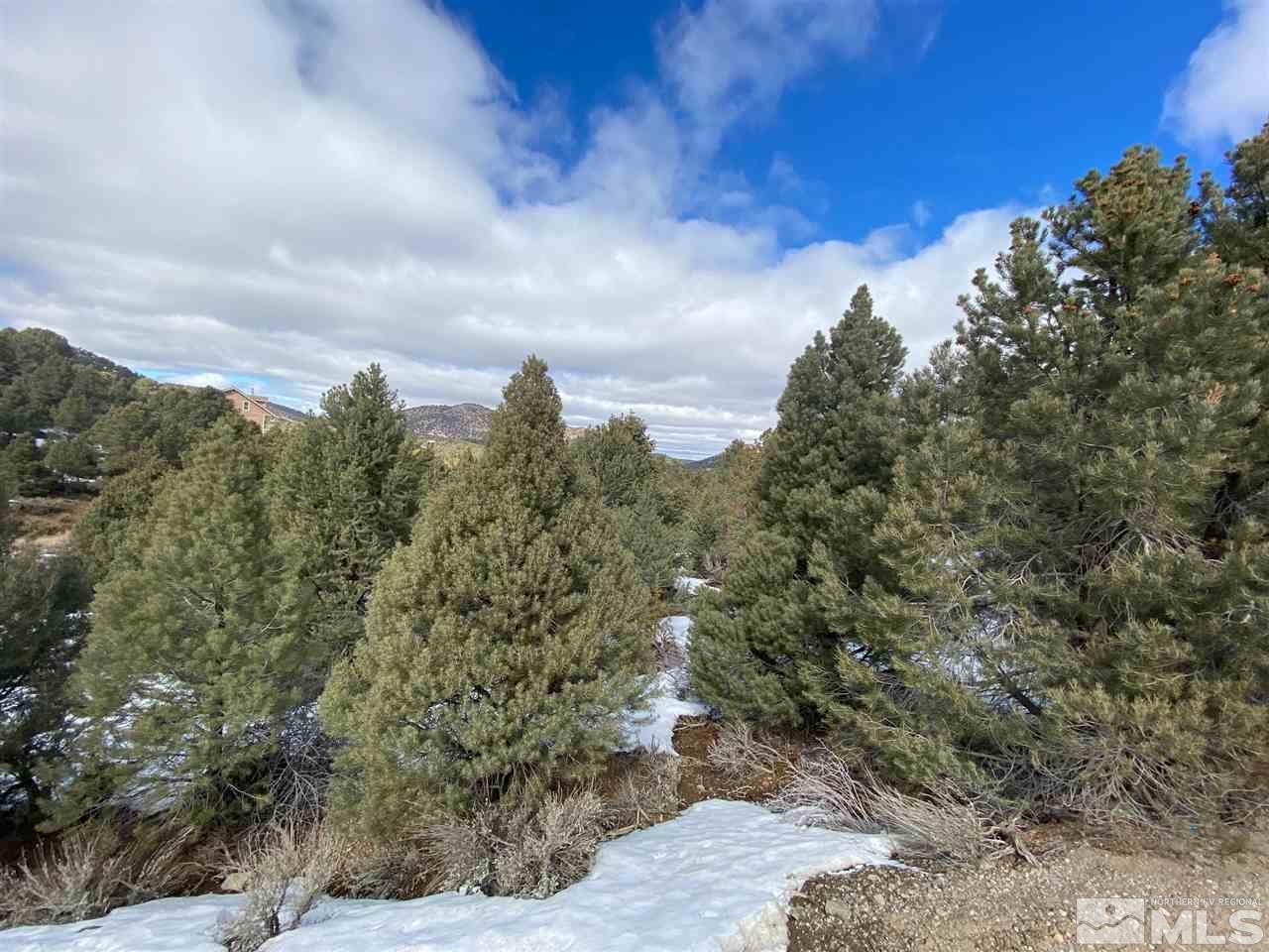 21420 Delta Drive Reno, NV 89521 - Photo 2 of 2 a view of a city with lush green forest