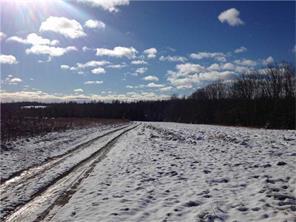 245 Snow Road Bridgewater, ME 04735 - Photo 2 of 5 Photo