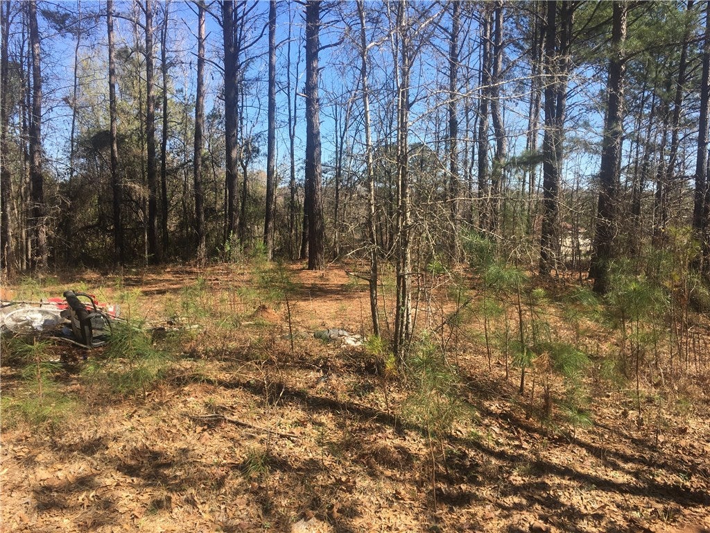 11 Island Creek Road Seale, AL 36875 - Photo 5 of 11 Gallery Image 5