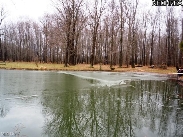 36419 Chestnut Ridge Road North Ridgeville, OH 44039 - Photo 6 of 18