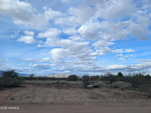 a view of a dry yard with lots of trees