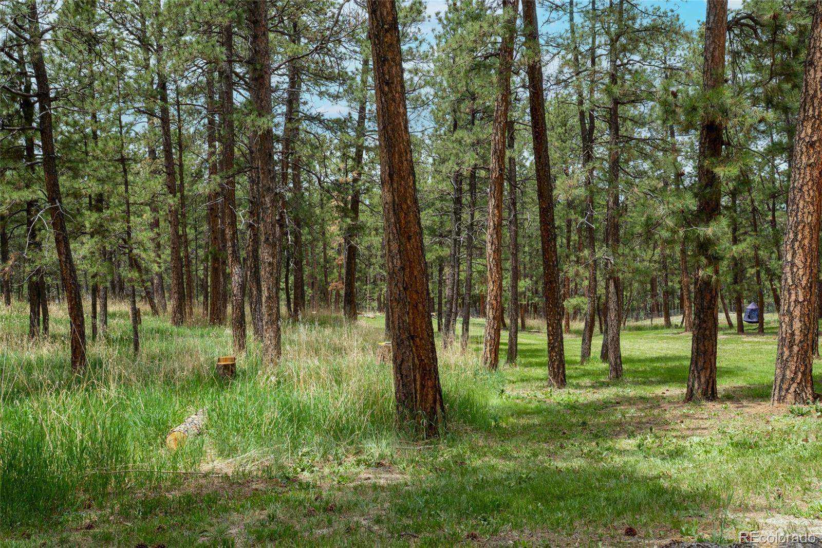 4719 Beaver-Ridge Elbert, CO 80106 - Photo 39 of 48