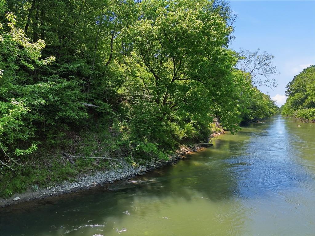 236 Butterfly Drive Ranger, GA 30734 - Photo 43 of 48