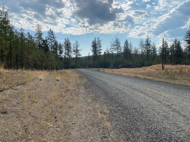 5742 J Corkscrew Canyon Road Tumtum, WA 99034 - Photo 2 of 11