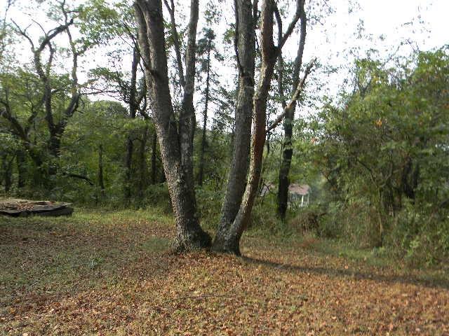 262 Patterson Road Finleyville, PA 15332 - Photo 19 of 20 Gallery Image 19