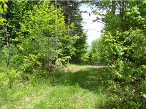 920 N Road Newbury, VT 05051 - Photo 2 of 4 Gallery Image 2