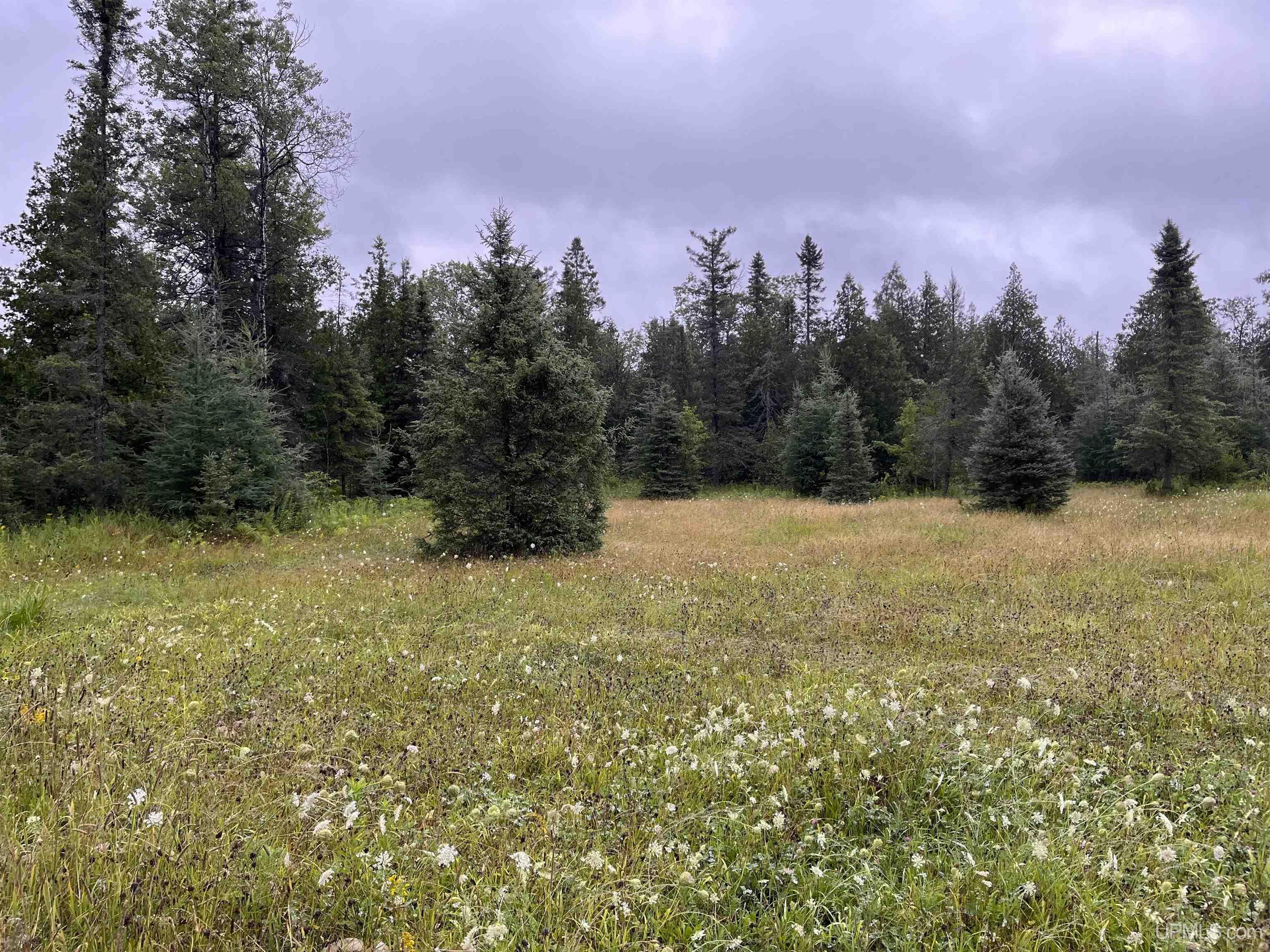 54868 County 426 M.5 Road Felch, MI 49831 - Photo 25 of 29