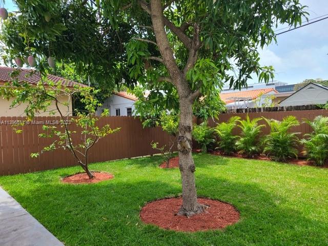 2180 Southwest 20th Street Miami, FL 33145 - Photo 31 of 31 a view of a garden with a tree