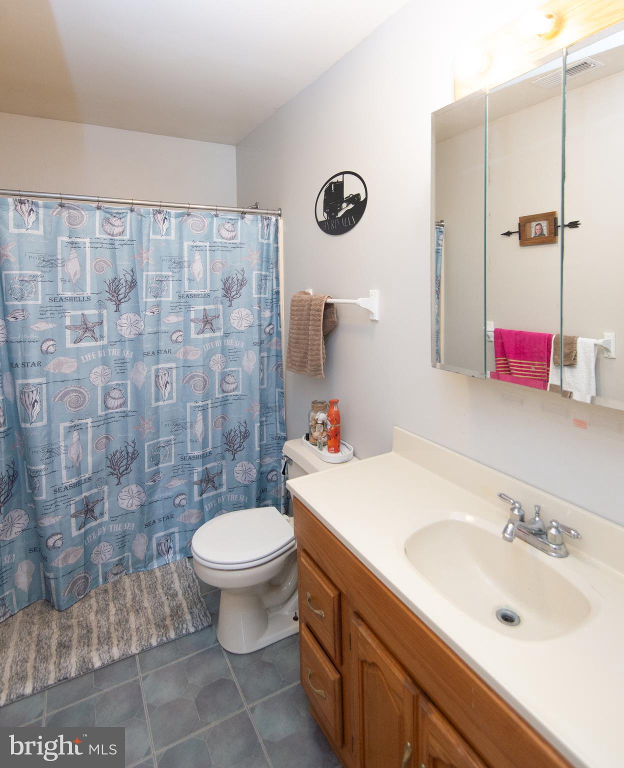 6422 Suicide Bridge Road Hurlock, MD 21643 - Photo 20 of 32 bathroom #2