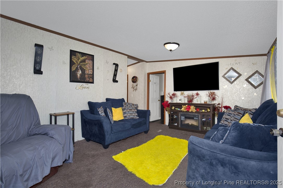 5065 Tobacco Road Orrum, NC 28369 - Photo 7 of 31 a living room with furniture and a flat screen tv