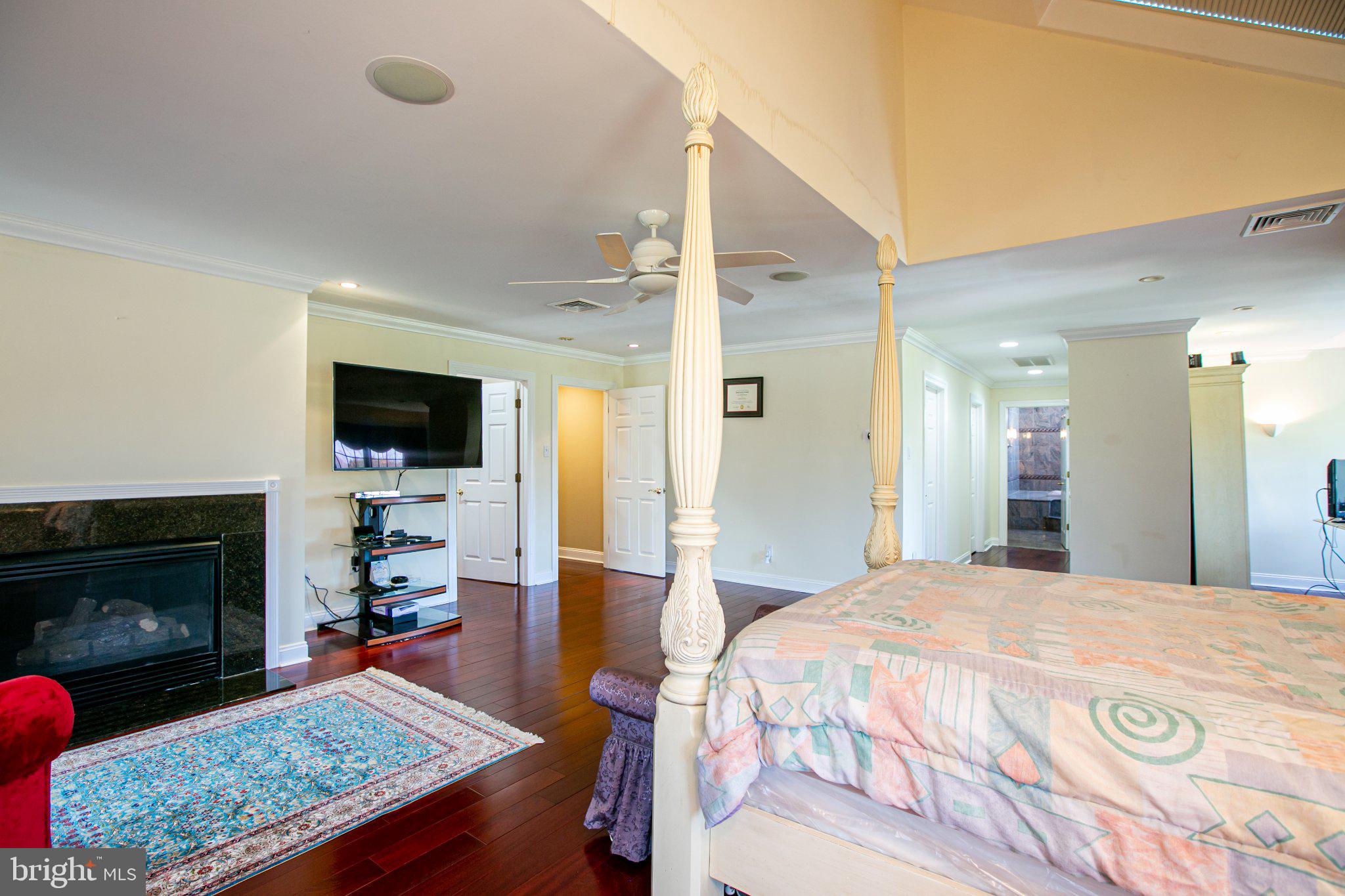 17 Dey Farm Road Princeton Junction, NJ 08550 - Photo 58 of 73 Primary bedroom 2 with fireplace