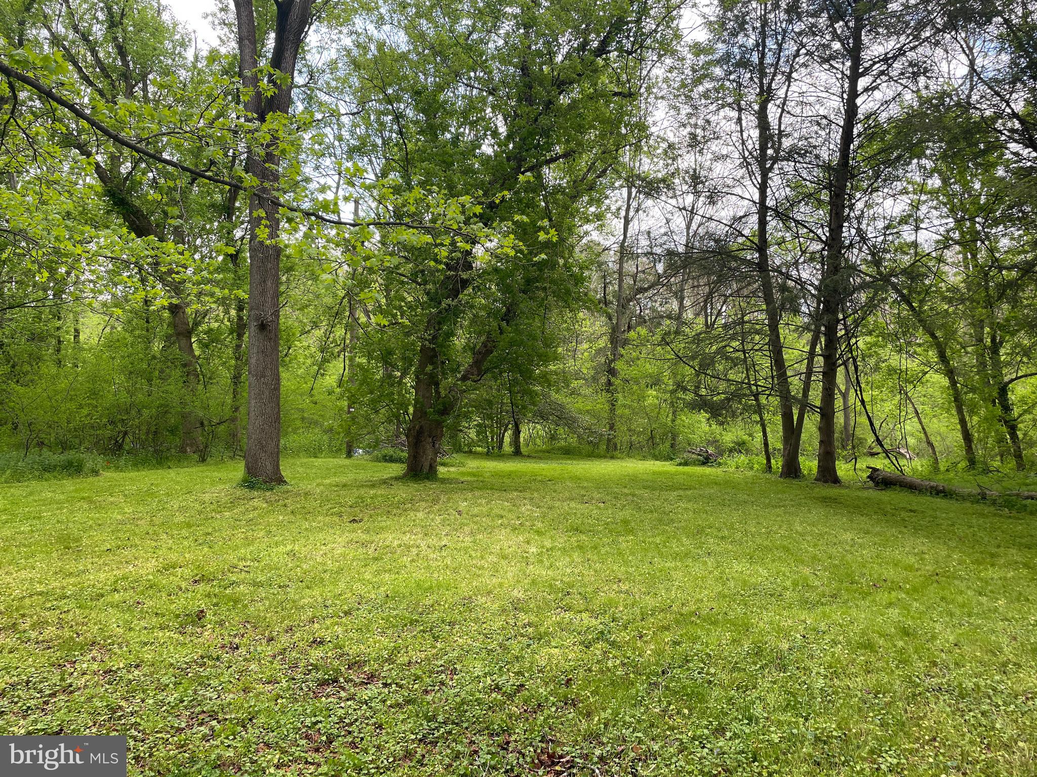 0 River Road Pequea, PA 17565 - Photo 8 of 28 a view of a field with trees in front of it