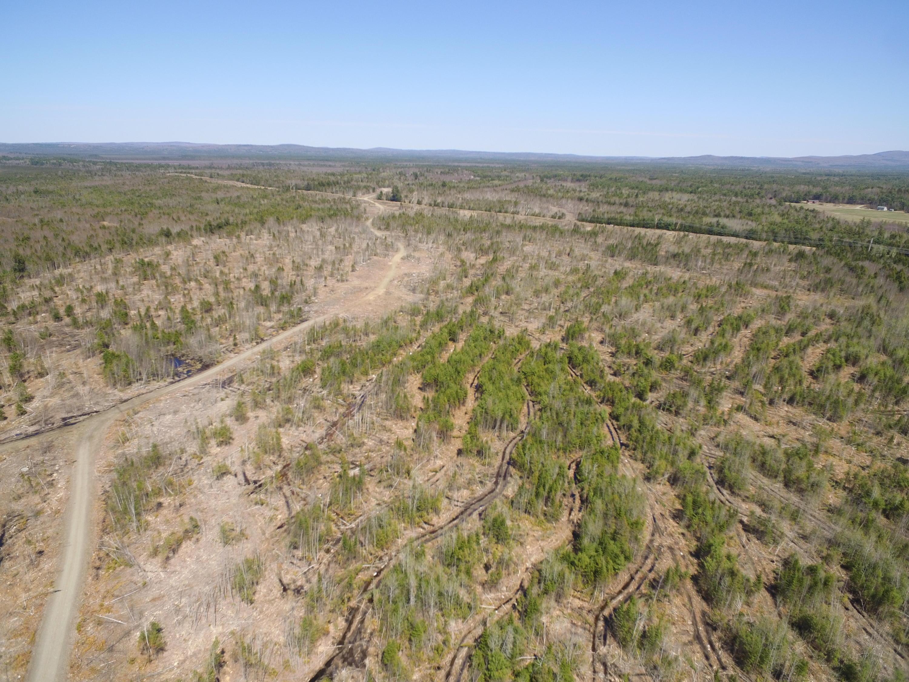 Tbd Goulds Ridge Road Passadumkeag, ME 04475 - Photo 16 of 27 DJI_0108