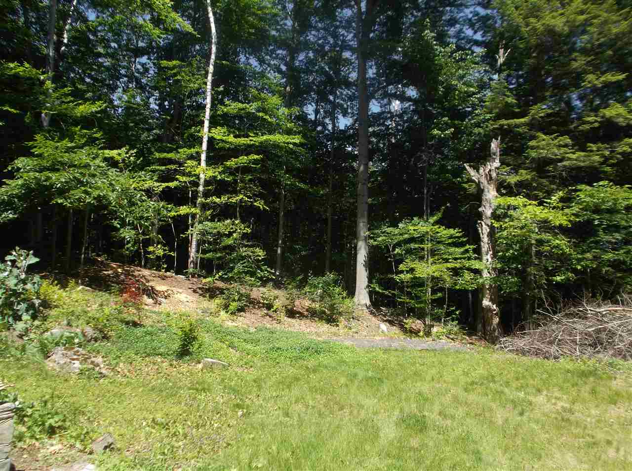 33 Daniels Road Bristol, NH 03222 - Photo 17 of 27 Gallery Image 17