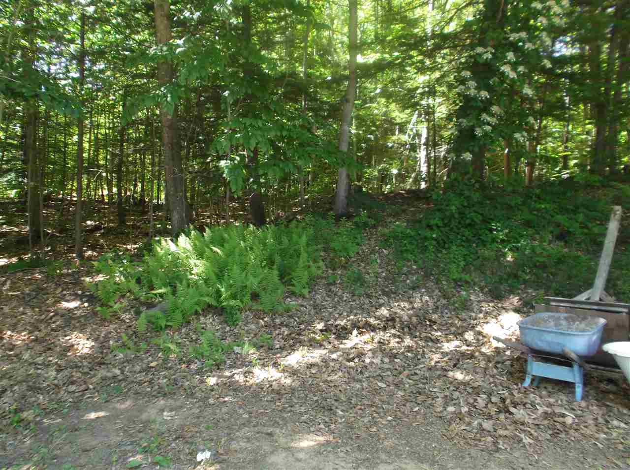 33 Daniels Road Bristol, NH 03222 - Photo 22 of 27 Gallery Image 22