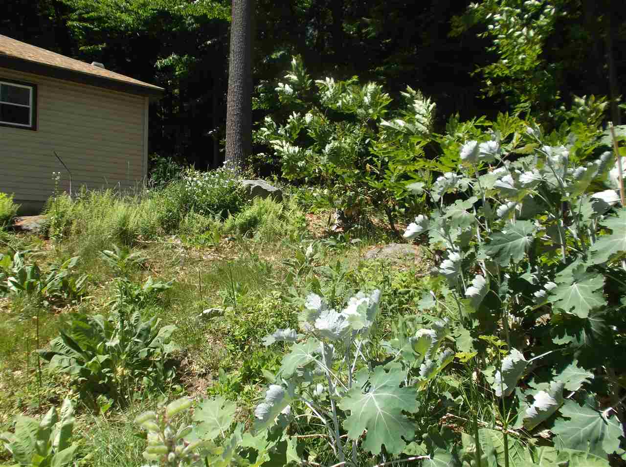 33 Daniels Road Bristol, NH 03222 - Photo 24 of 27 Gallery Image 24