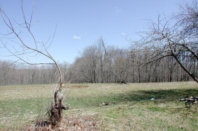12255 Riggs Road Independence, KY 41051 - Photo 4 of 8