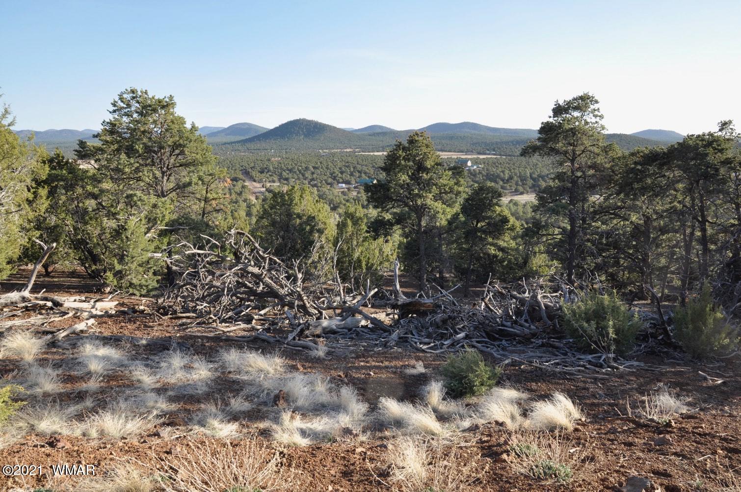 6-e # 5 Cr Vernon, AZ 85940 - Photo 4 of 8