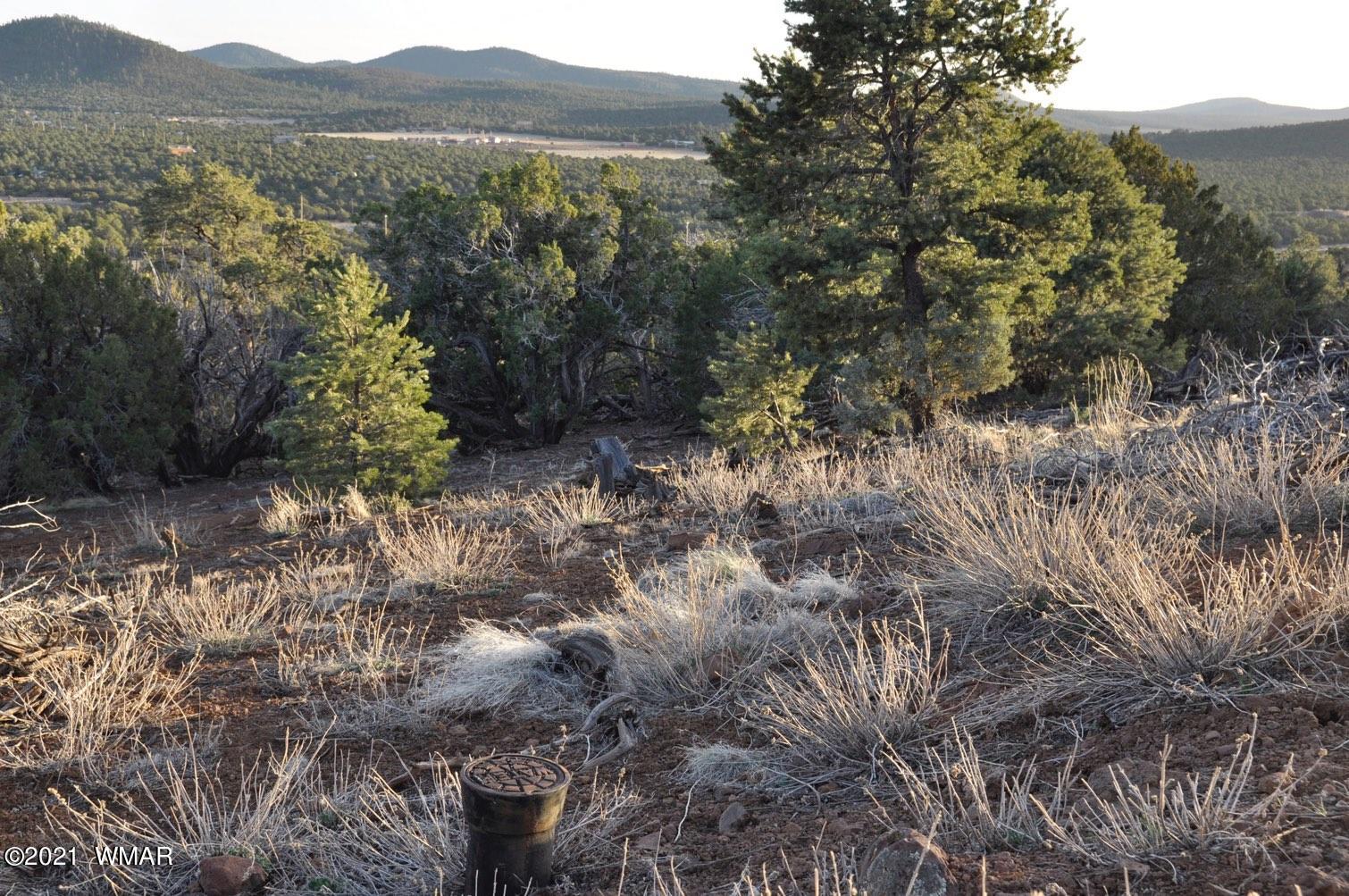6-e # 5 Cr Vernon, AZ 85940 - Photo 6 of 8