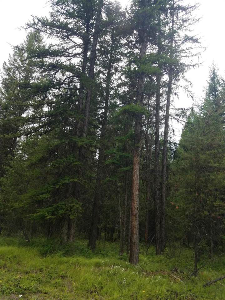 1984 Southwest Aladdin Road Colville, WA 99114 - Photo 1 of 1