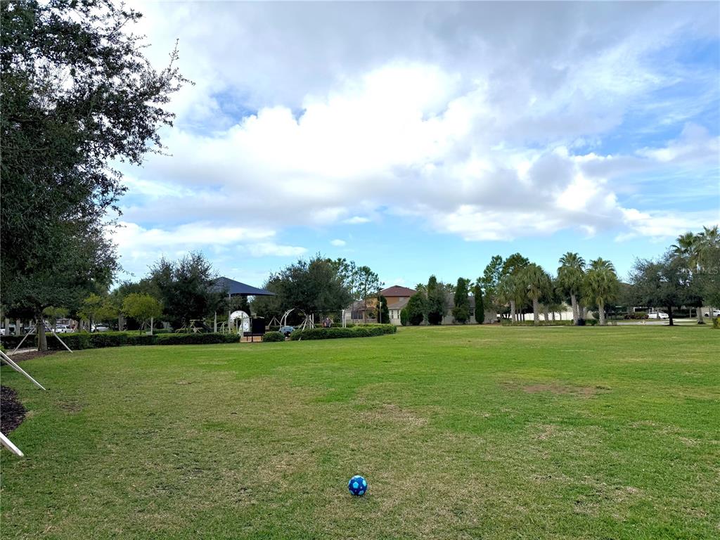 11104 Spring Point Circle Riverview, FL 33579 - Photo 50 of 52 a view of a green field with wooden fence