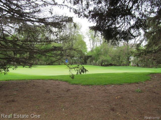 559 Augusta Drive Rochester, MI 48309 - Photo 26 of 27 IMG_0312.jpg