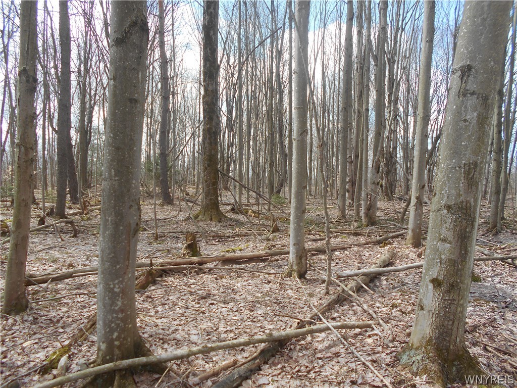 0 Genesee Road Lawtons, NY 14091 - Photo 27 of 34