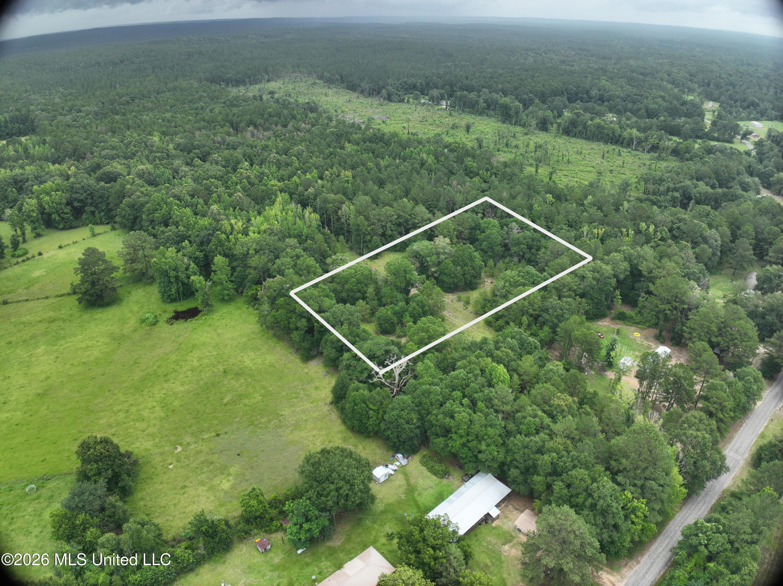 Will Alexander Road Columbia, MS 39429 - Photo 6 of 12 Photo6