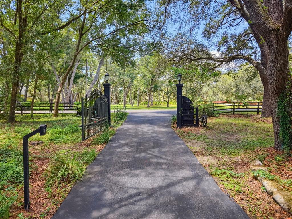 15234 Scanio Drive Spring Hill, FL 34610 - Photo 10 of 99