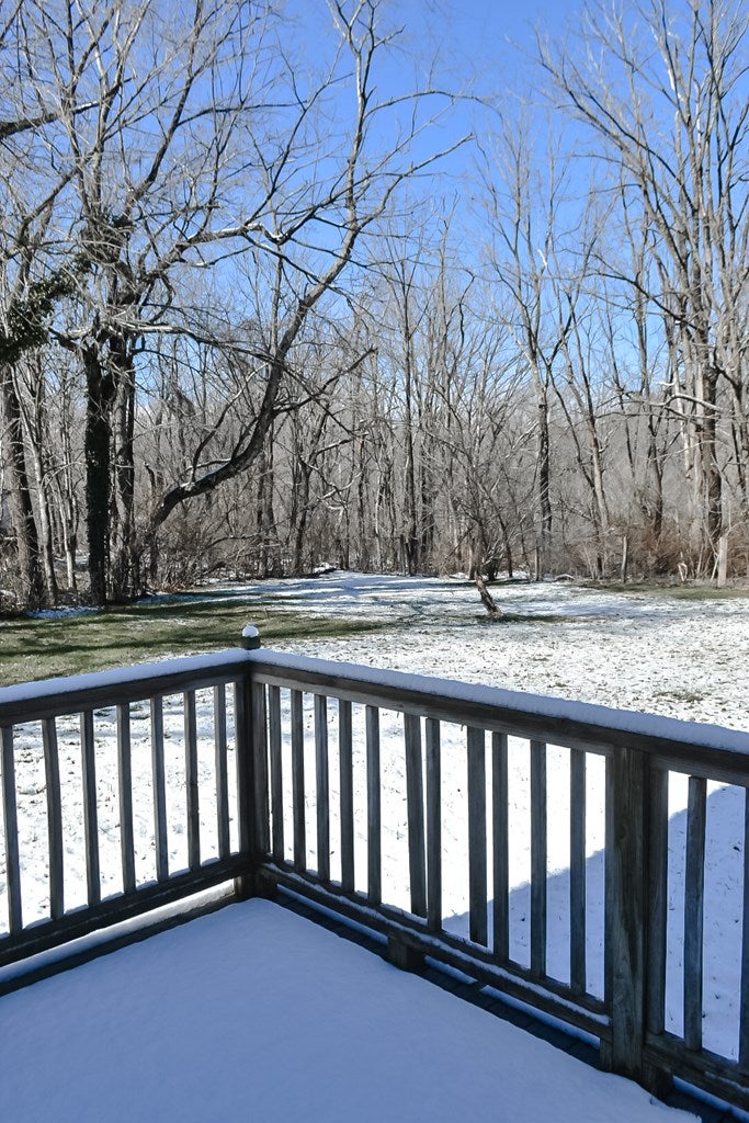 2107 Red Stone Road Chilhowie, VA 24319 - Photo 25 of 26 Gallery Image 25