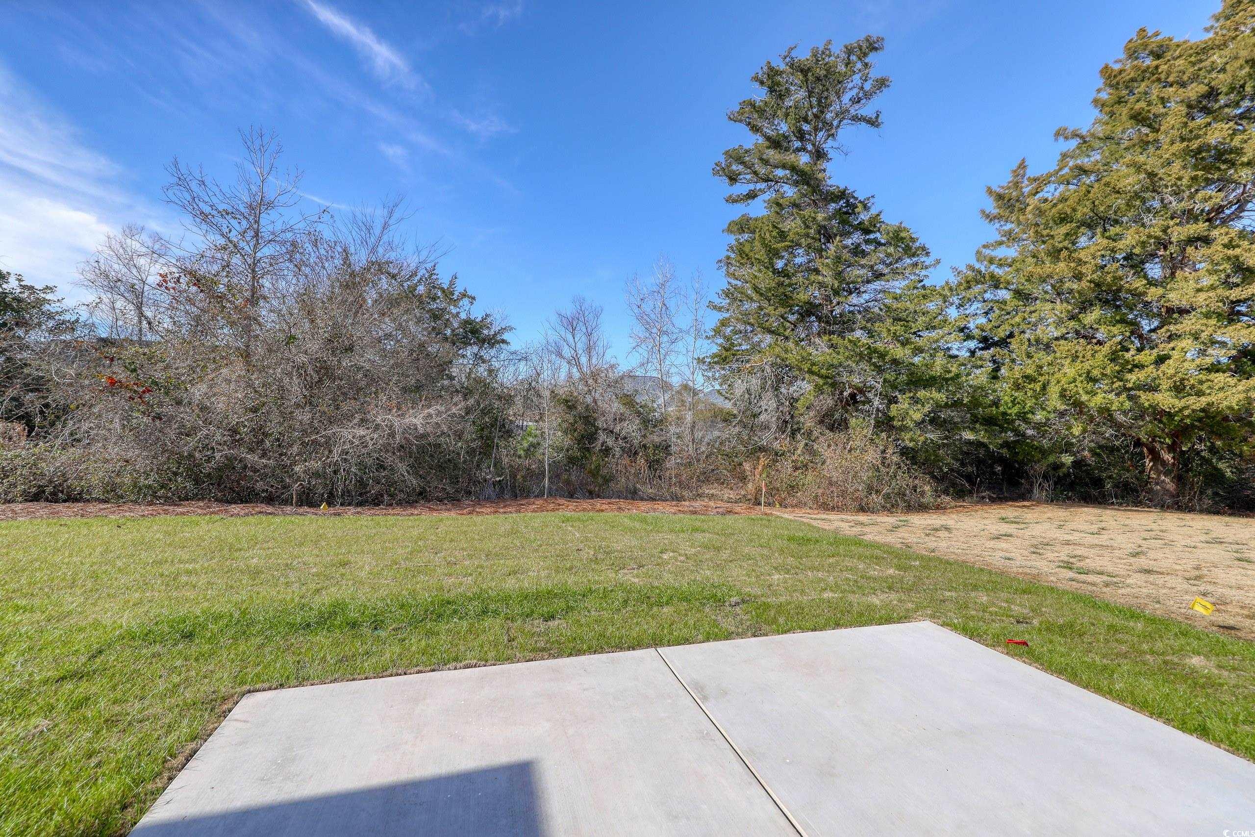 1613 Littleleaf Loop North Myrtle Beach, SC 29582 - Photo 5 of 39 View of yard featuring a patio area