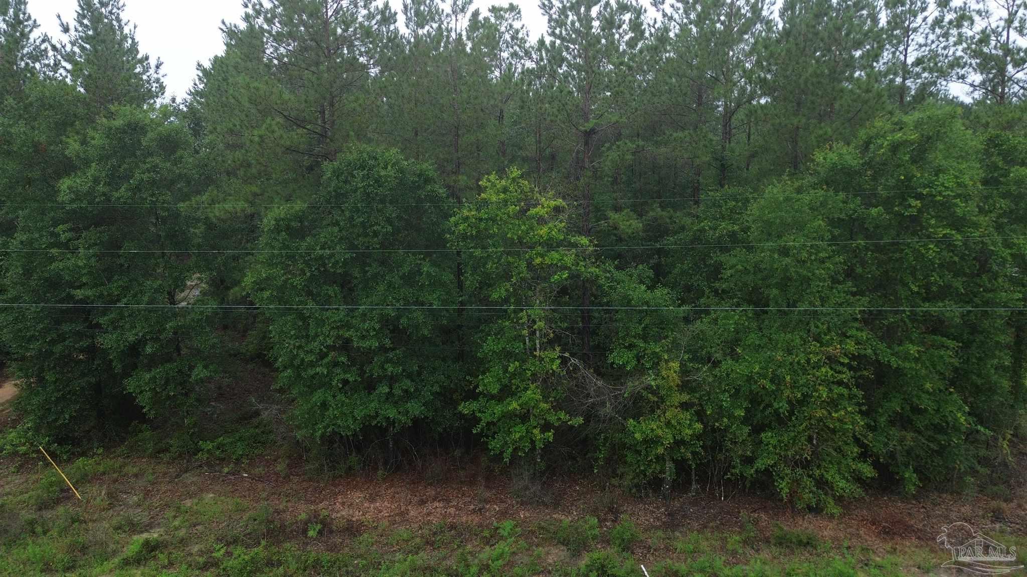 Lot 86 Pineview Church Road Jay, FL 32565 - Photo 5 of 6