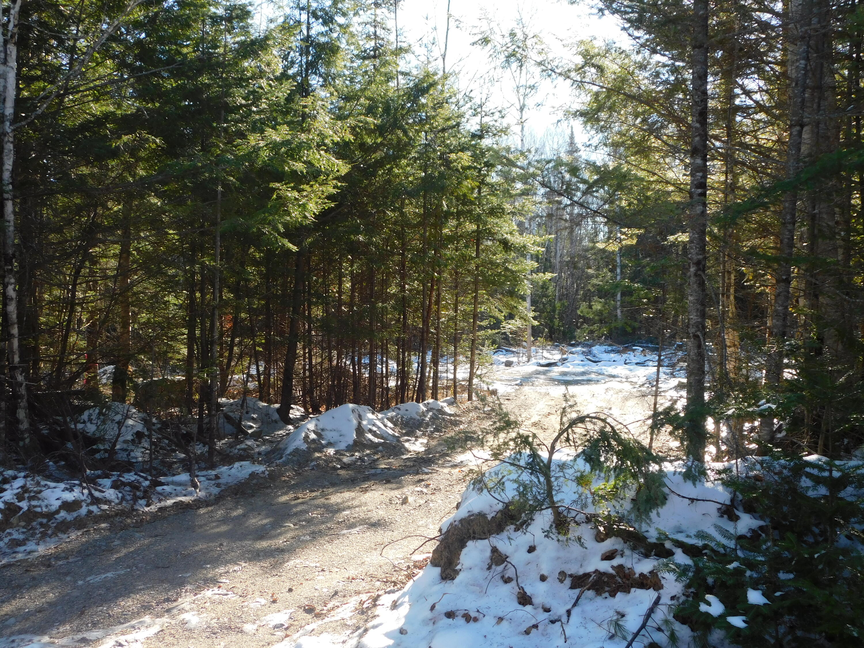 12 Map Road Greenbush, ME 04418 - Photo 3 of 5 IMG_2291