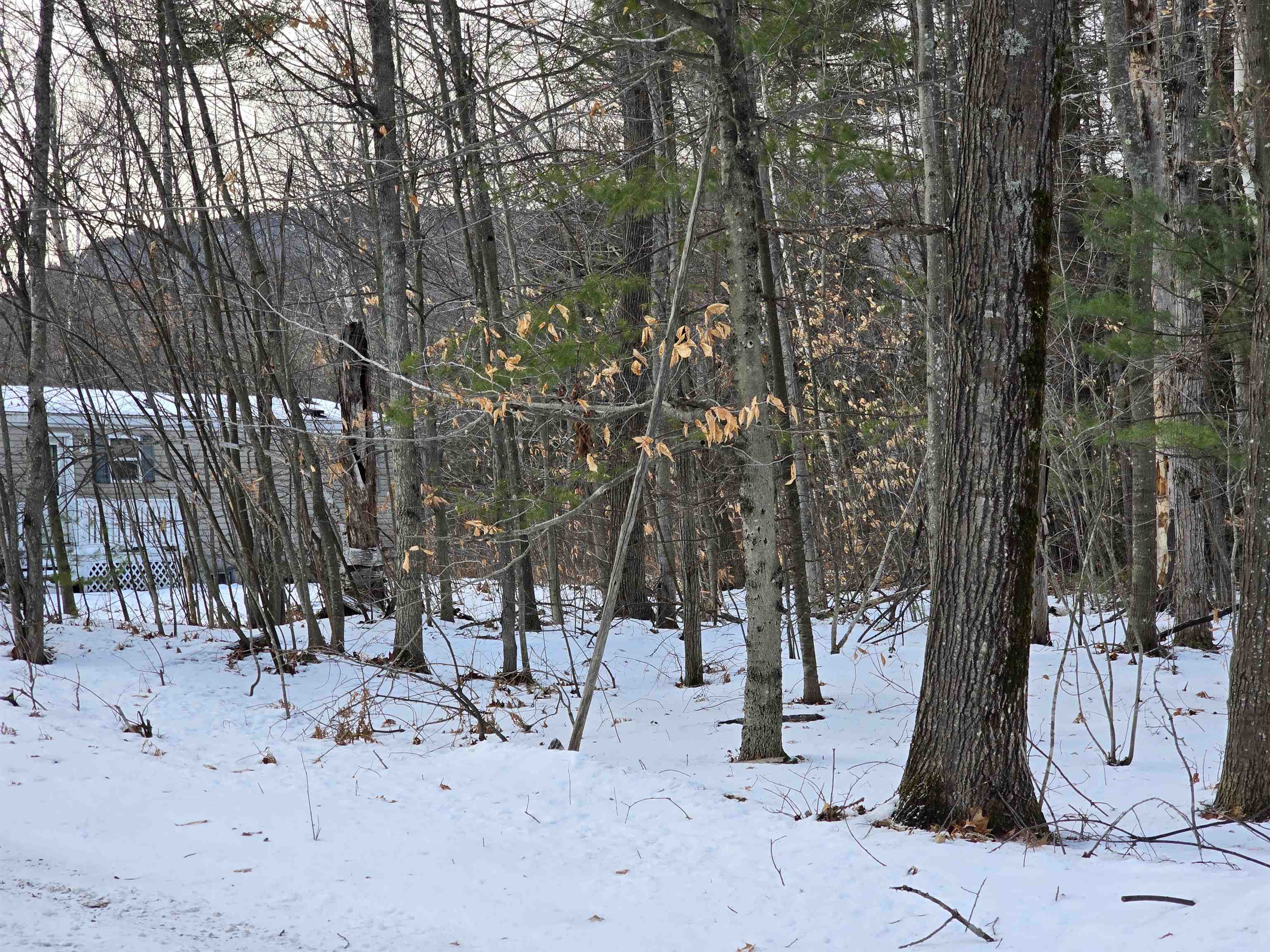 23 North Road Shelburne, NH 03581 - Photo 4 of 19