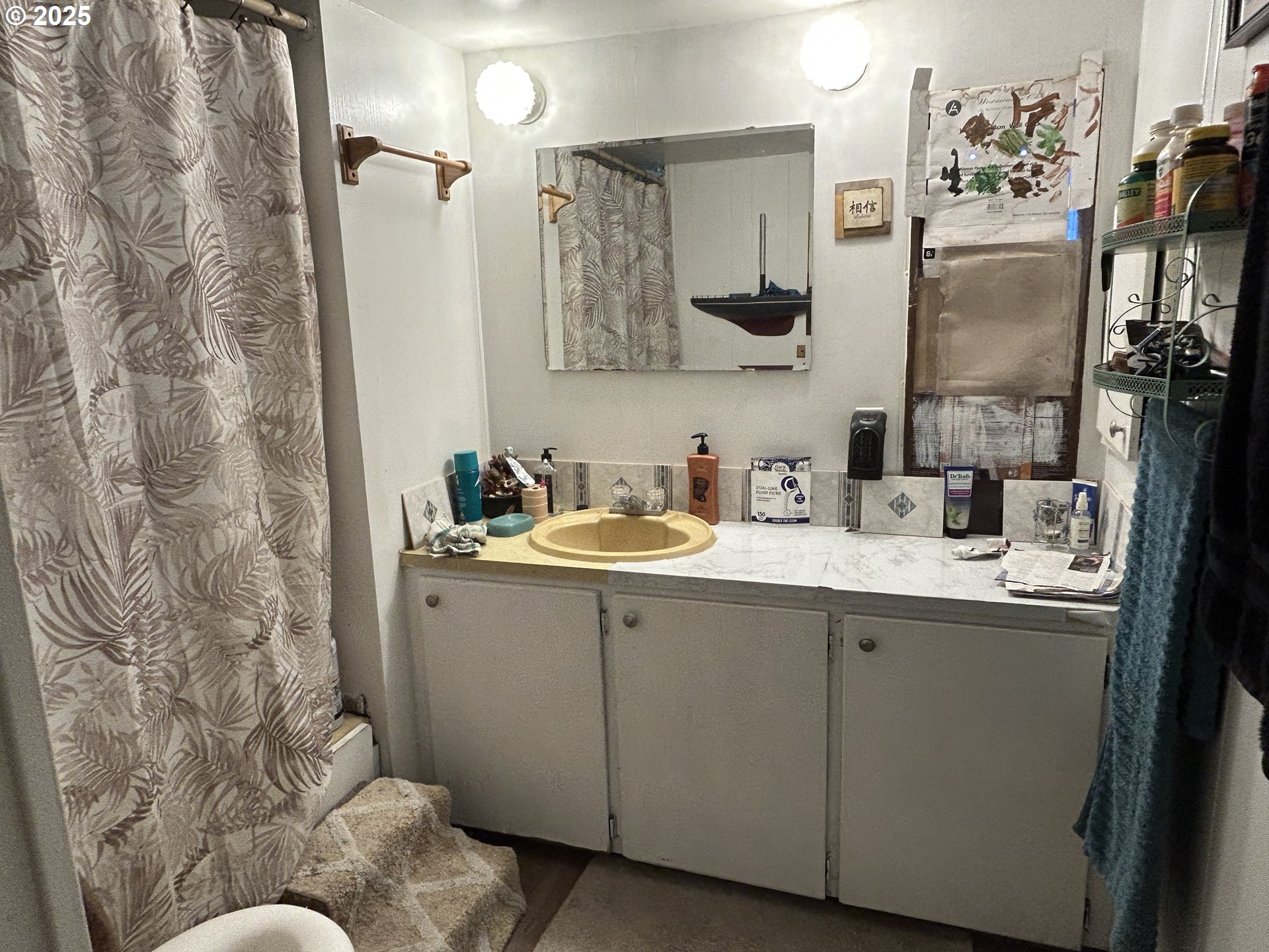 239 Oak Street Yoncalla, OR 97499 - Photo 11 of 15 a bathroom with a sink and mirror with toilet