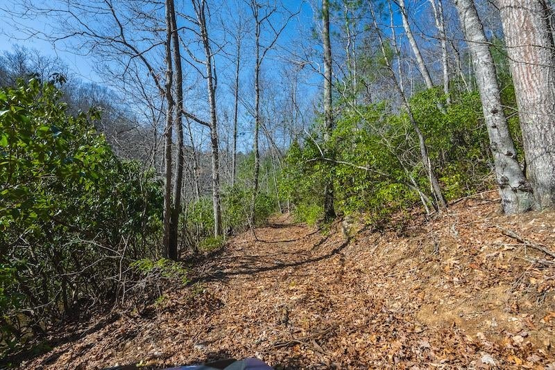 Tbd Stillhouse Road Laurel Fork, VA 24352 - Photo 32 of 64 Gallery Image 32
