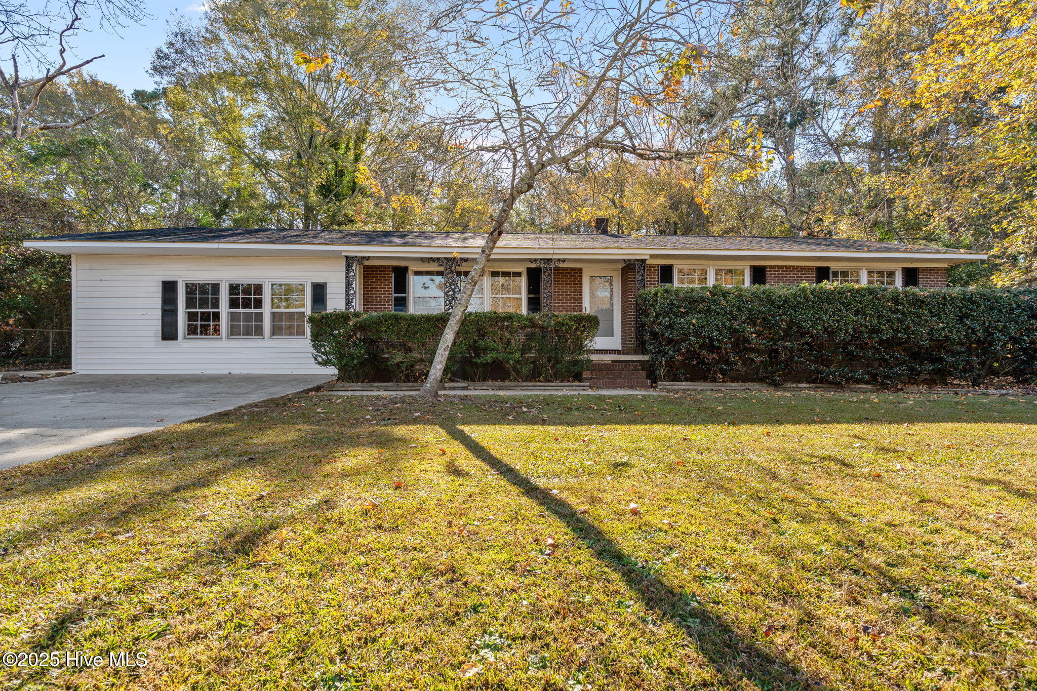 331 Nicholson Road Rockingham, NC 28379 - Photo 44 of 56 44-web-or-mls-DSC07362