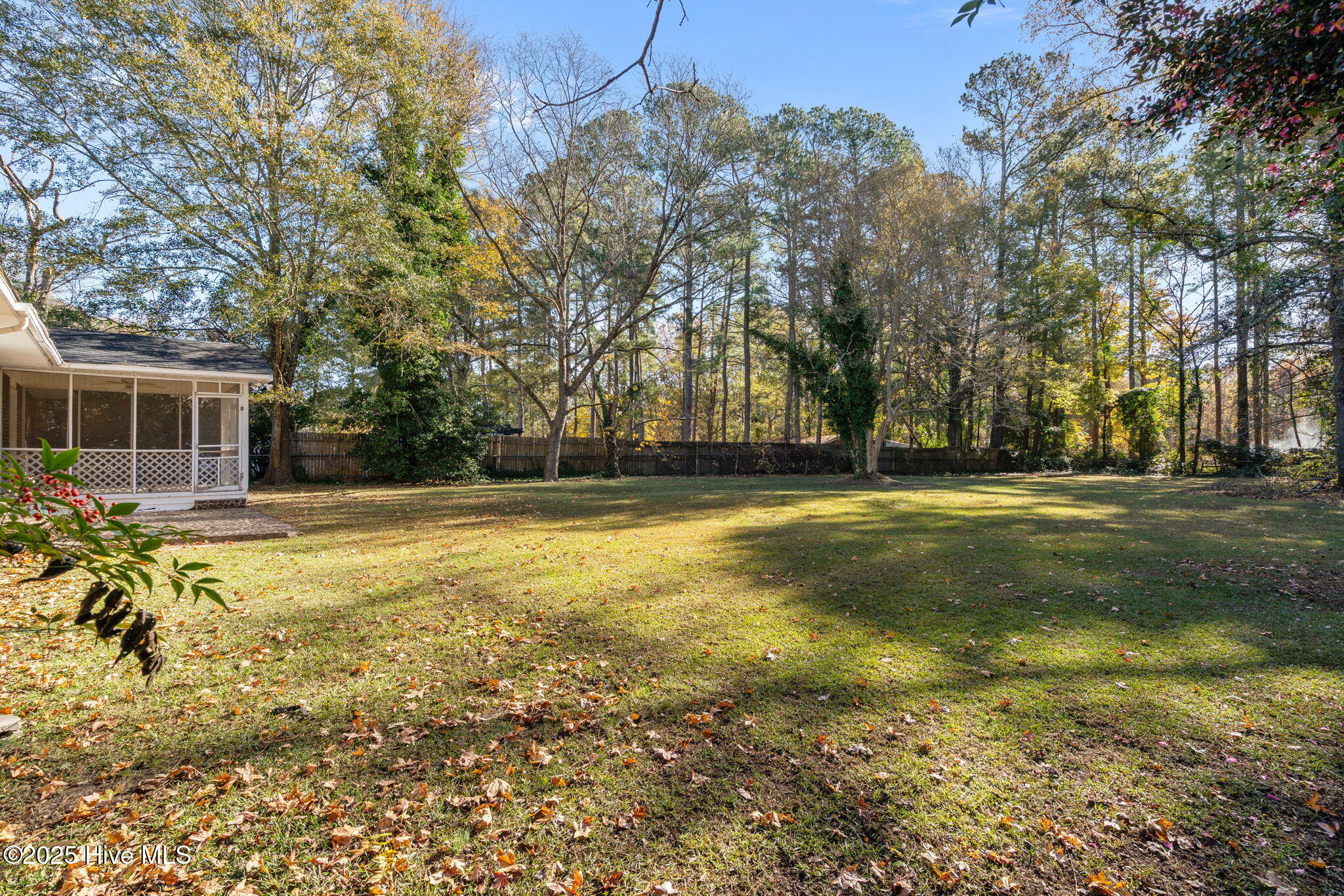 331 Nicholson Road Rockingham, NC 28379 - Photo 53 of 56 53-web-or-mls-DSC07373