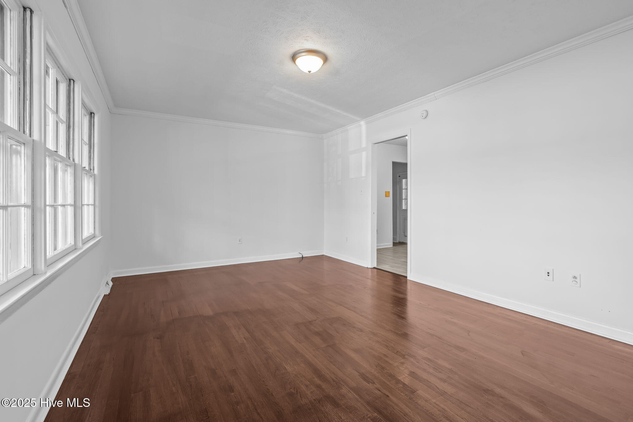 331 Nicholson Road Rockingham, NC 28379 - Photo 8 of 56 8-web-or-mls-DSC07245